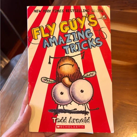 Fly Guy Book Set by Tedd Arnold - Colorful Collection - Picture 4 of 10